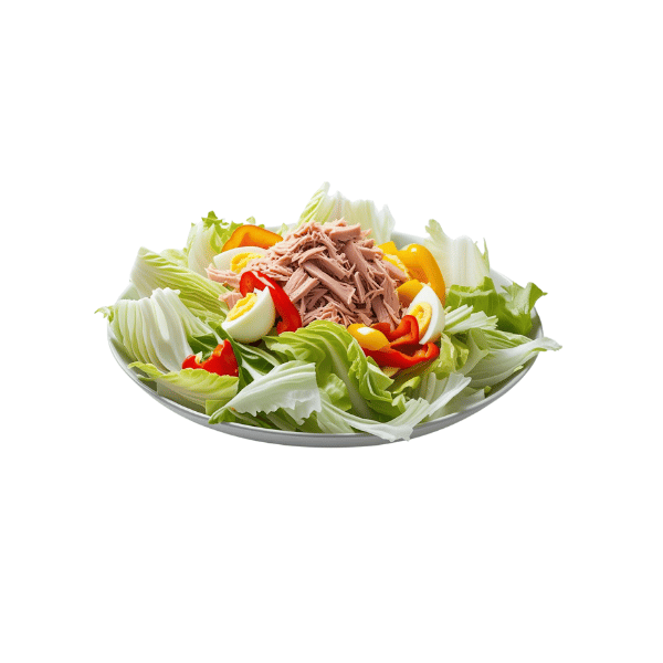 Nizza Salat
